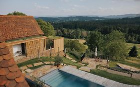 Am Wildbachberg - Luxus Ferienhaeuser Mit Infinitypool, Privatsauna Und Weinkeller